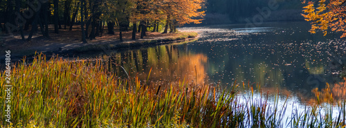 Autumn landscape of the forest on the shore of the lake