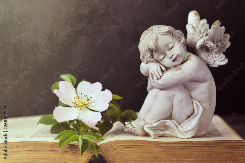 Sympathy card. Guardian angel sleeping on open book Sympathy card. Guardian angel sleeping on open book