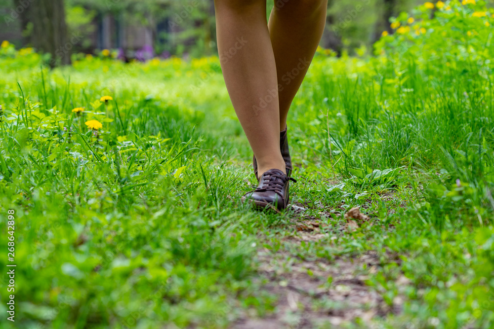 Female legs walk along the path on the lawn with green grass and yellow dandelions