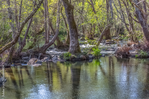 View of Dão river, with trees, rocks and vegetation on the banks, reflections in the water and bright colors