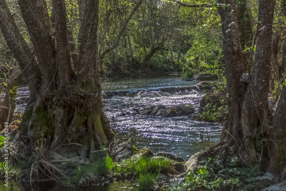View of Dão river, with trees, rocks and vegetation on the banks, reflections in the water and bright colors View of Dão river, with trees, rocks and vegetation on the banks, reflections in the water and bright colors