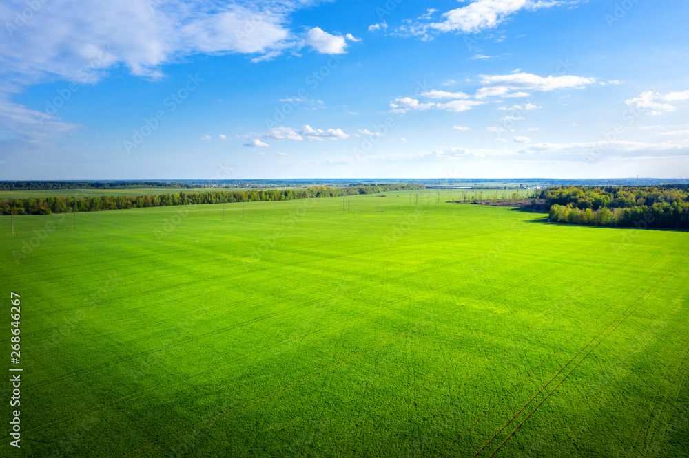 Green meadow and blue sky from above. Summer field on sunny day aerial view. Agriculture - obrazy, fototapety, plakaty 