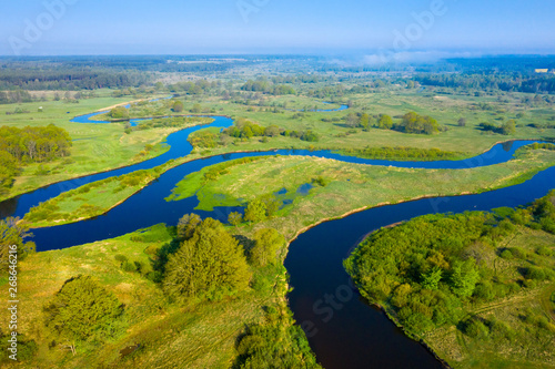 Obraz na płótnie River aerial view. River nature on green meadow w salonie