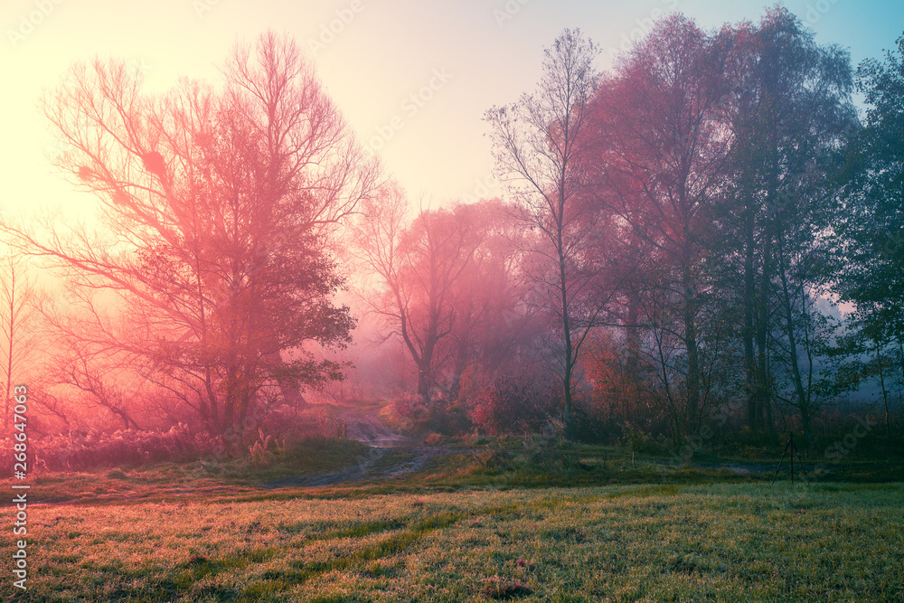 Rural landscape in the early morning. Sunrise in the countryside Rural landscape in the early morning. Sunrise in the countryside