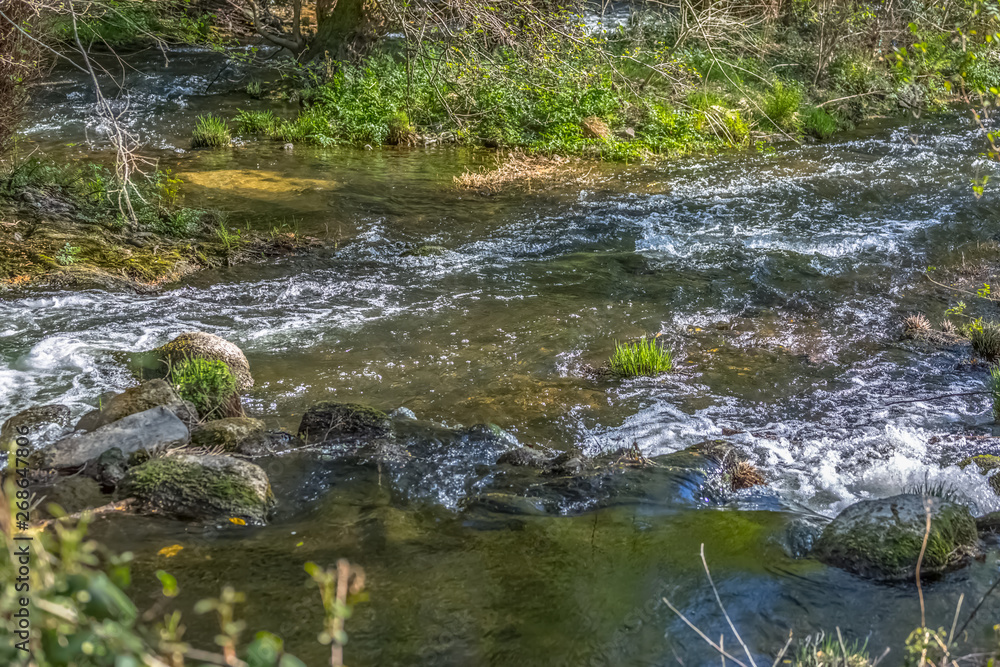 View of Dão river, with trees, rocks and vegetation on the banks, reflections in the water and bright colors View of Dão river, with trees, rocks and vegetation on the banks, reflections in the water and bright colors