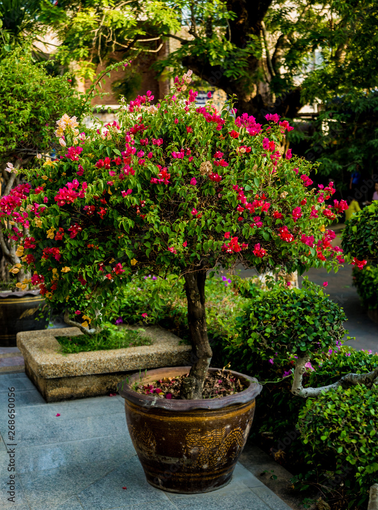 Luxury landscape design of the tropical garden. Beautiful view of tropical landscape Luxury landscape design of the tropical garden. Beautiful view of tropical landscape