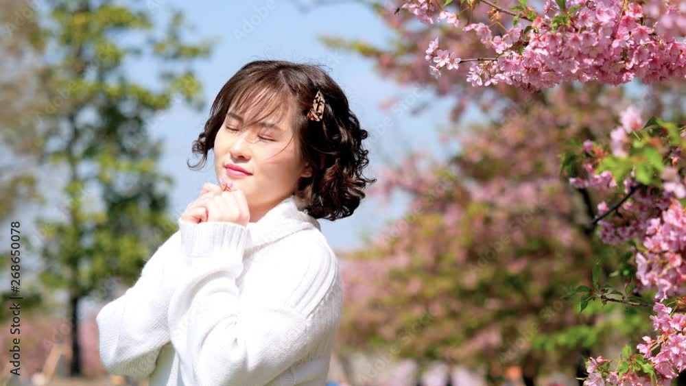 Beautiful Chinese young girl in white clothes posing with eyes closed in breeze, enjoy sunny spring day with pink cherry flowers forest background, 4k movie, slow motion. Beautiful Chinese young girl in white clothes posing with eyes closed in breeze, enjoy sunny spring day with pink cherry flowers forest background, 4k movie, slow motion.