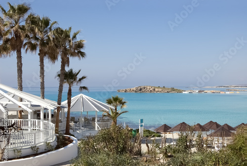 Palms, bar, umbrellas on the beautiful beach in Cyprus.