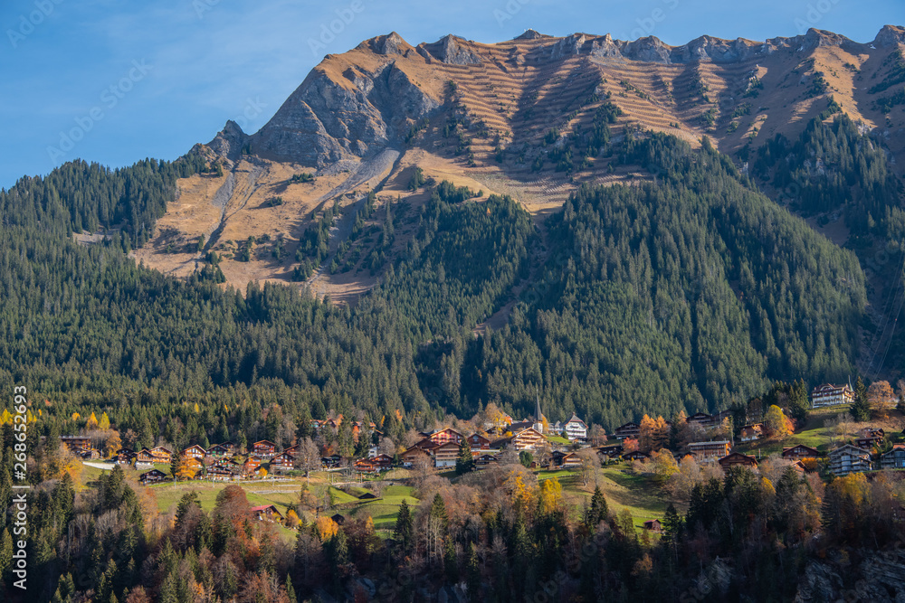 Swiss Hillside Town