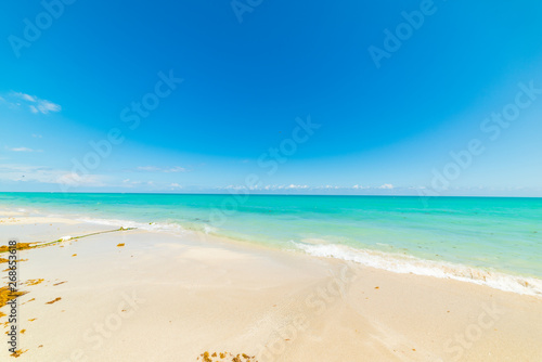 Colorful shore in Miami Beach on a sunny day © Gabriele Maltinti