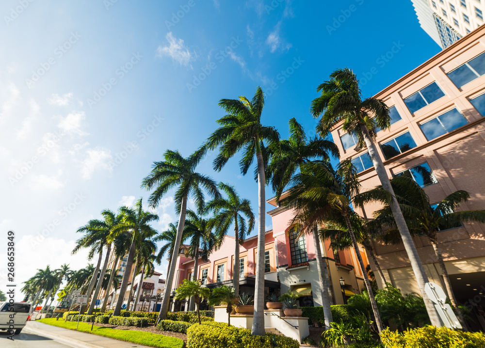 Palm trees and elegant buildings in West Palm Beach - obrazy, fototapety, plakaty 