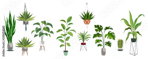 Fotografie, Obraz Pot plant set