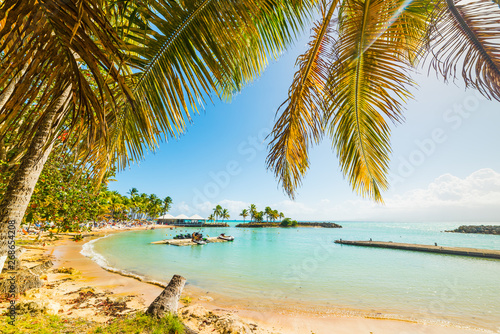 Palm trees and colorful shore in Bas du Fort beach
