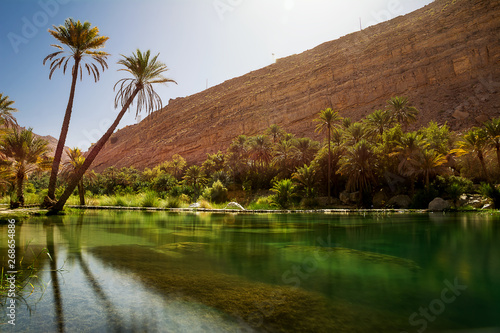 Amazing Lake and oasis with palm trees (Wadi Bani Khalid) in the Omani desert photo