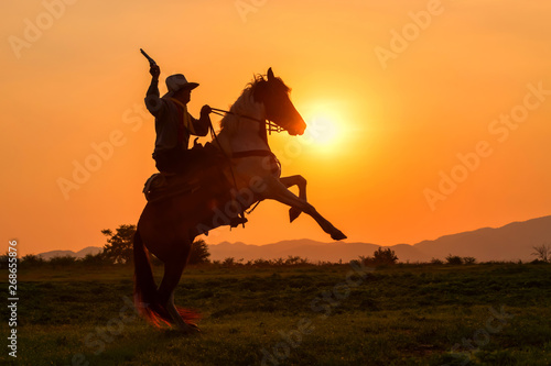 The silhouette of a man wearing a cowboy dress with a horse and a gun held in his hand