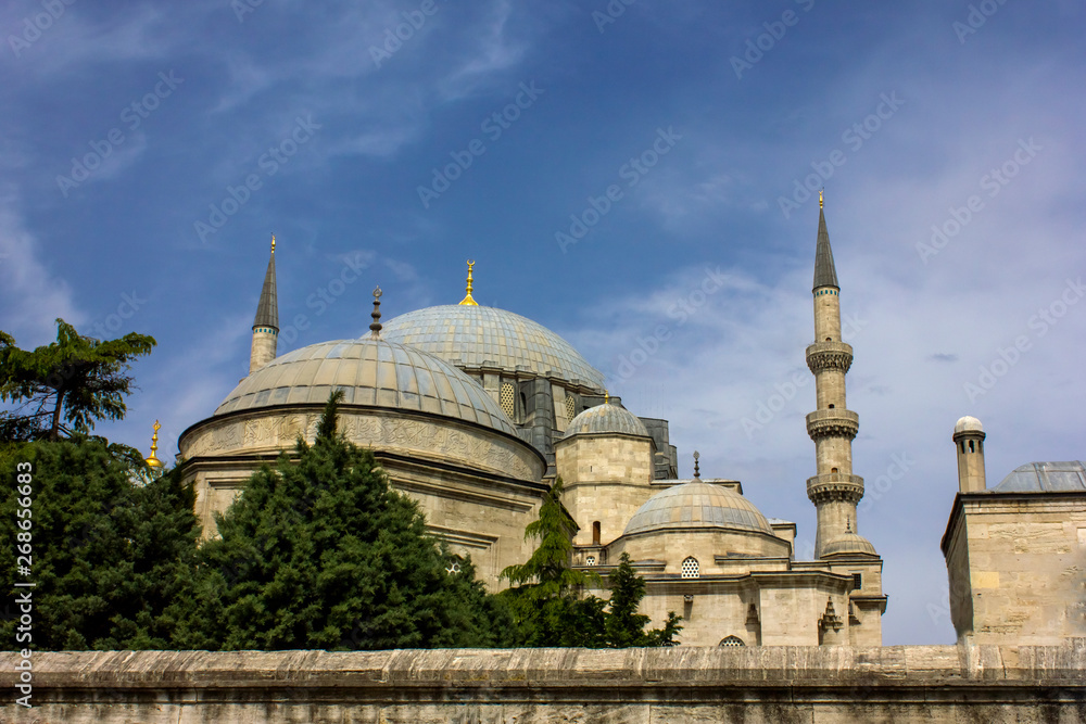 Domes of the Suleymaniye Mosque