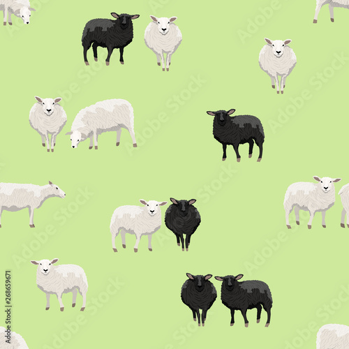 Seamless pattern. Clusters of white and black sheep on a green background. Vector for packaging, paper, prints and cards