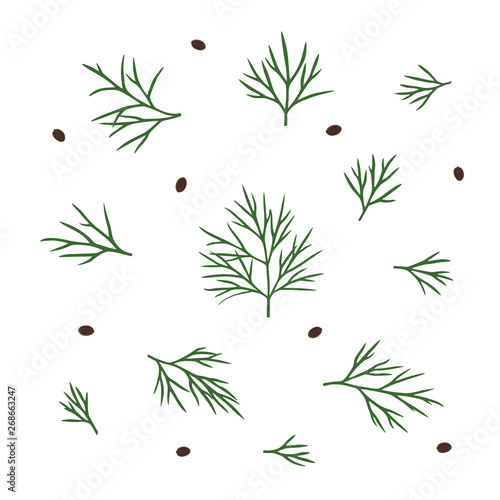 Hand drawn dill isolated. Template for your design works.