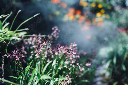 Wallpaper Mural Green leaves background. Natural tropical background nature forest jungle foliage. Torontodigital.ca