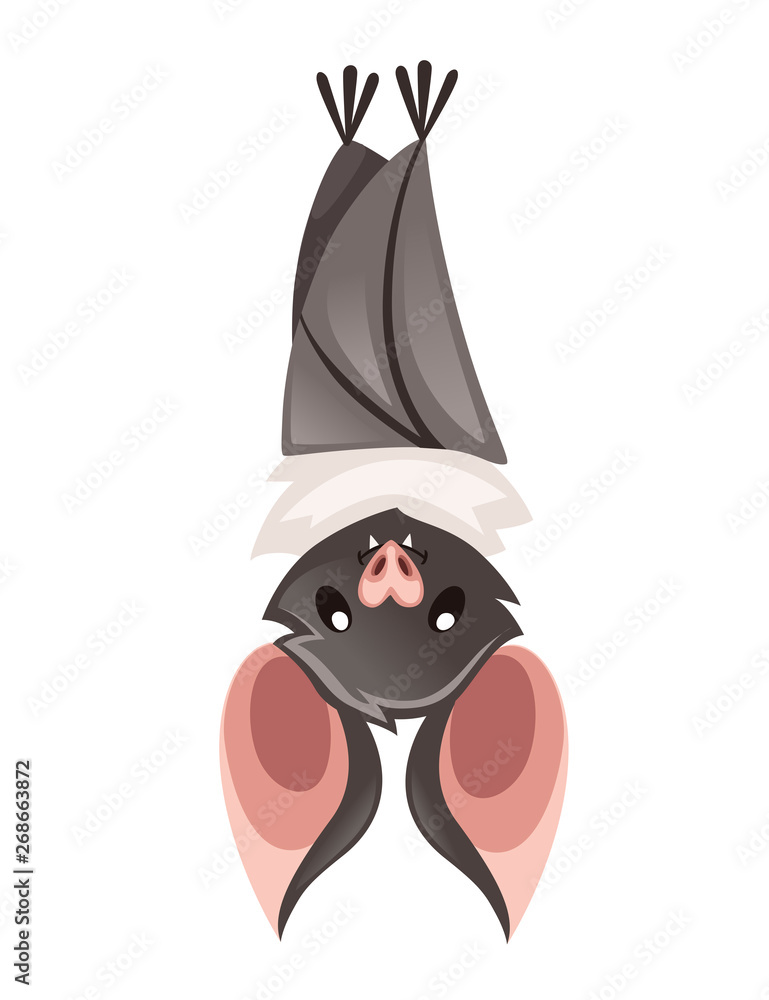 Cartoon bat. Cute vampire bat, flying mammal. Flat vector illustration  isolated on white background. Cartoon character design. Bat Upside Down  Stock Vector | Adobe Stock