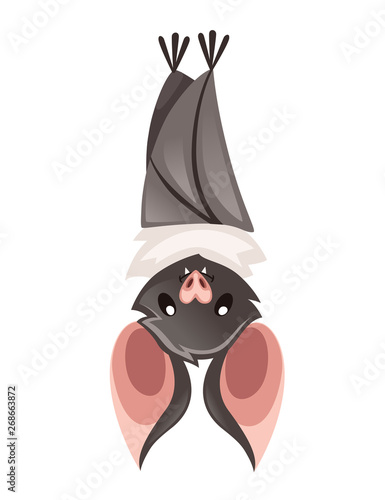 Cartoon bat. Cute vampire bat, flying mammal. Flat vector illustration isolated on white background. Cartoon character design. Bat Upside Down