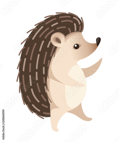 Adorable hedgehog, forest animal. Spiny mammal. Hedgehog stand on two legs. Cute cartoon animal design. Flat vector illustration isolated on white background