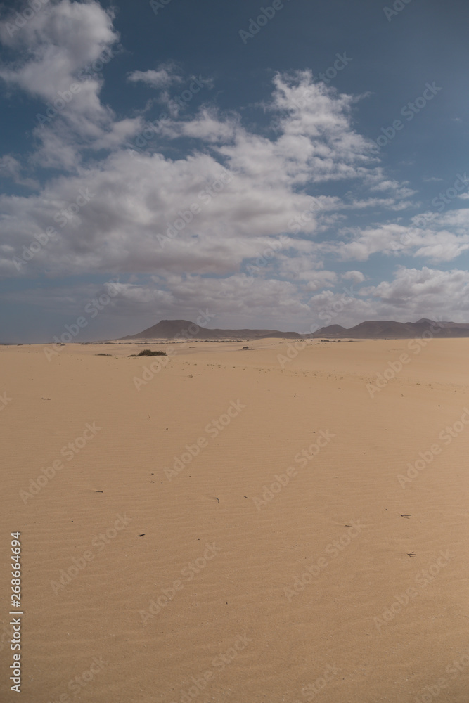 sand dunes sand dunes