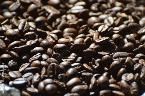 Coffee beans background  texture photo