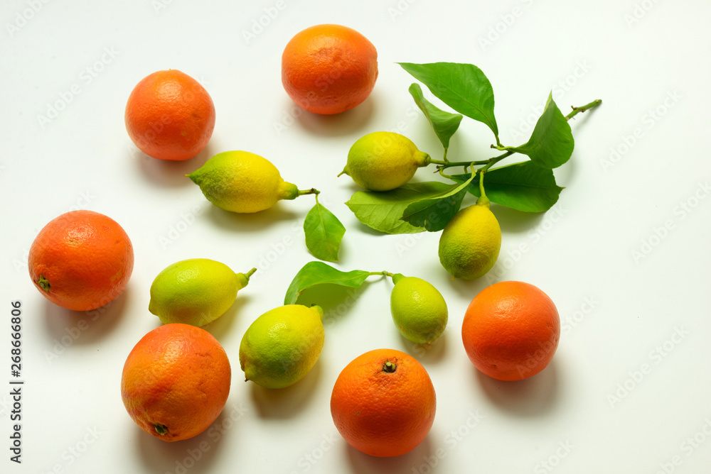 lemons and oranges on white background lemons and oranges on white background