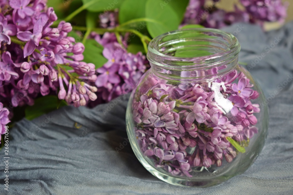 Lilac flowers in a jar on the table.Preparation of tincture of lilac to strengthen the immune system and improve the body. Lilac flowers in a jar on the table.Preparation of tincture of lilac to strengthen the immune system and improve the body.
