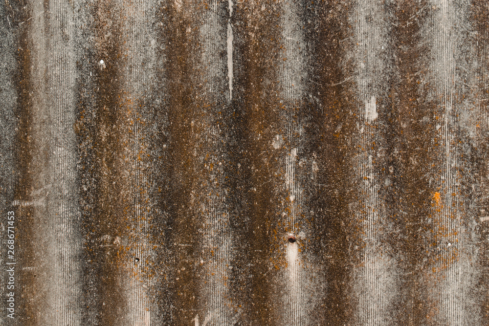 Fototapeta premium Rustic concrete texture with lichen and mold. Wallpaper of old stone with rust.