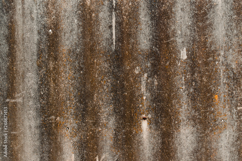 Rustic concrete texture with lichen and mold. Wallpaper of old stone with rust.