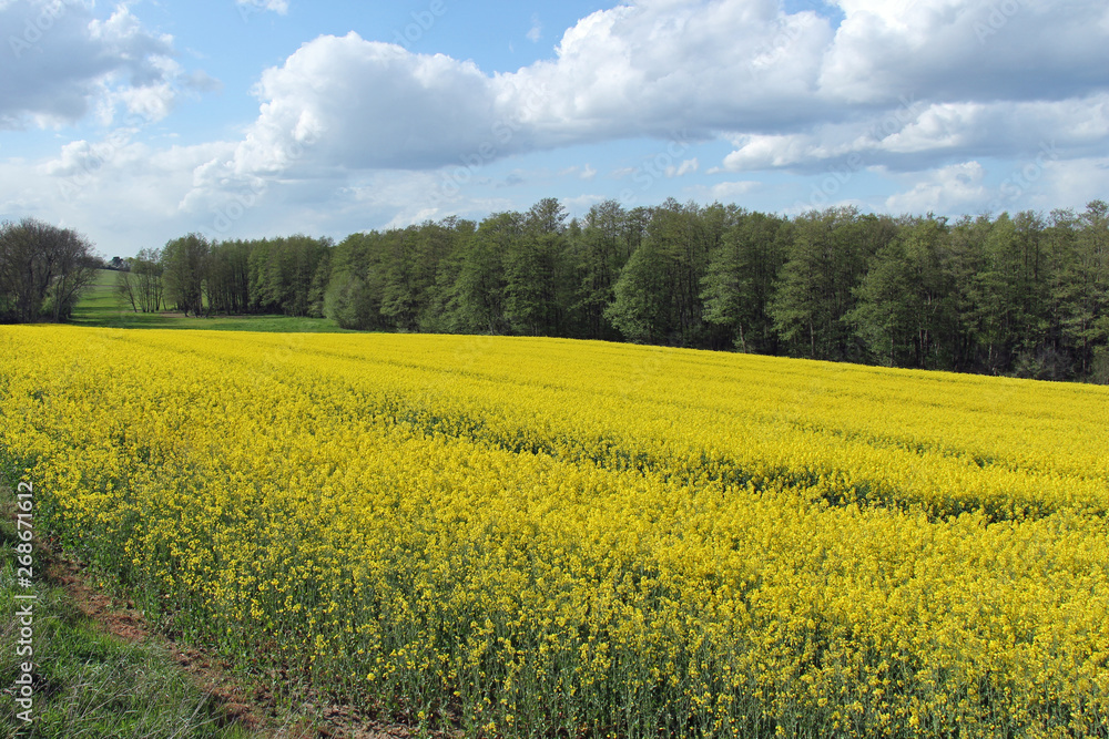 Rabsfeld Rabsfeld