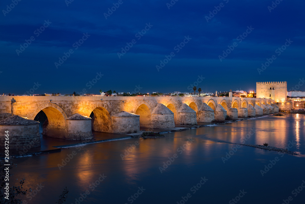 Lights reflected in the Guadalquivir river from the Roman Bridge and Calahorra Tower at dusk Cordoba
