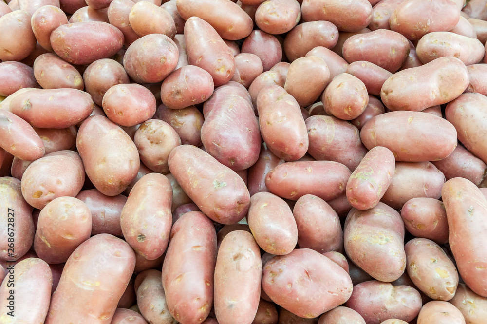 Potatoes sold at shuk hacarmel market, Tel Aviv, Israel Potatoes sold at shuk hacarmel market, Tel Aviv, Israel