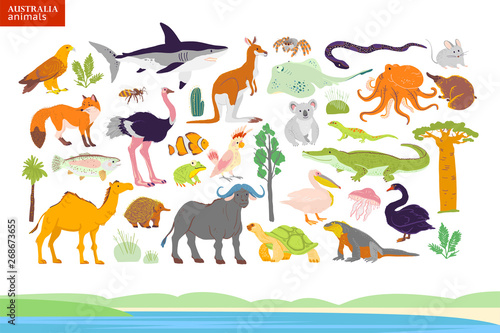 Vector flat illustration of Australia animals, seaside, plants: parrot, camel, kangaroo, crocodile, ostrich, koala, turtle, palm tree, cactus etc. For infographics, children book, alphabet, banner.