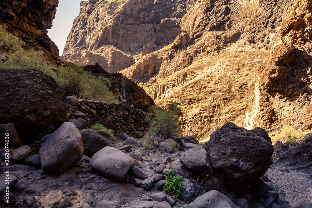 Obraz premium Hiking in Gorge Masca. beautiful path along the gorge to the ocean. Mountains of the island of Tenerife, Canary Island, Spain.