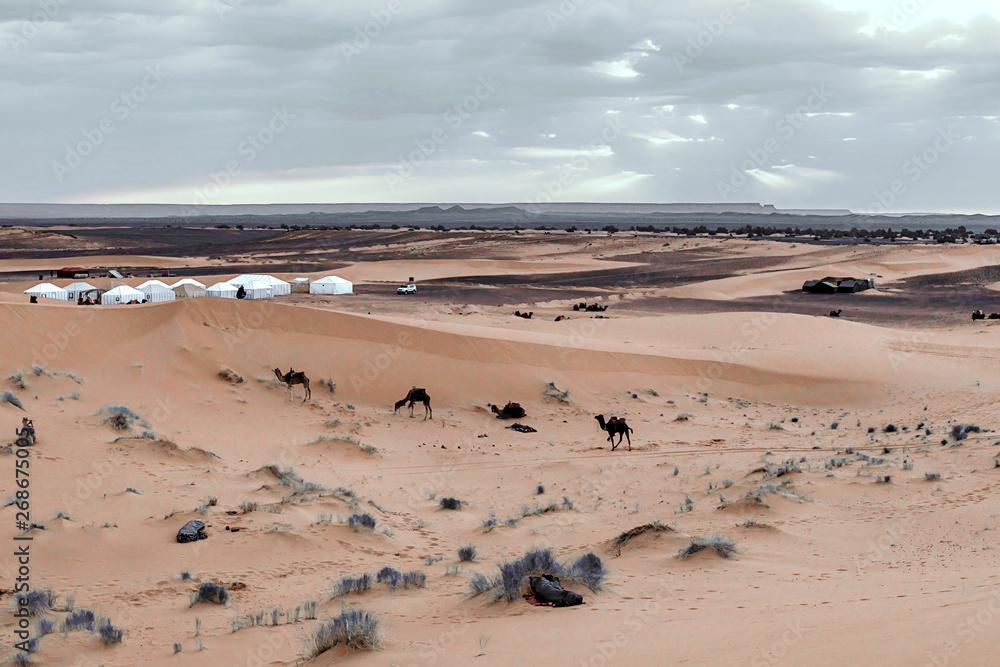 Sunrise in the western part of the Sahara Desert in Morocco.