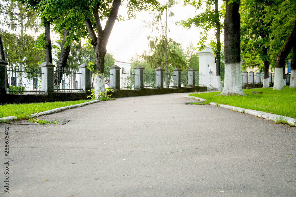 wide alley, on both sides of the lawn with bright green grass. Big trees wide alley, on both sides of the lawn with bright green grass. Big trees