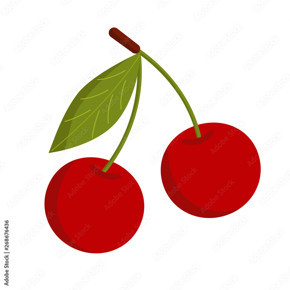 Cherry berries with stalks and leaves. Ripe cherry fruit on a twig Cherry berries with stalks and leaves. Ripe cherry fruit on a twig