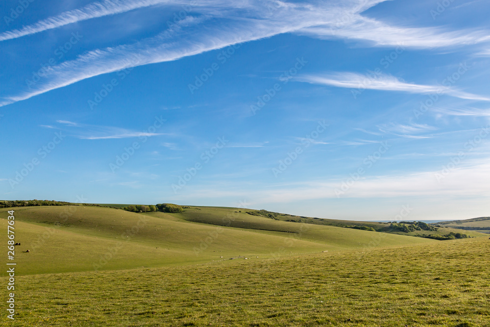 Obraz premium A green South Downs landscape with vapour trails in the blue sky overhead