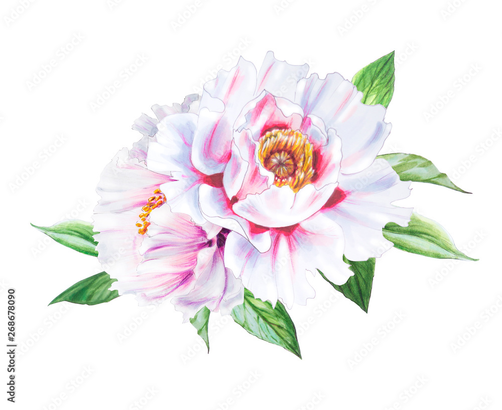 Obraz premium Beautiful white peony. Bouquet of flowers. Floral print. Marker drawing. Watercolor painting. Wedding and birthday composition. Greeting card. Flower painted background. Hand drawn illustration.