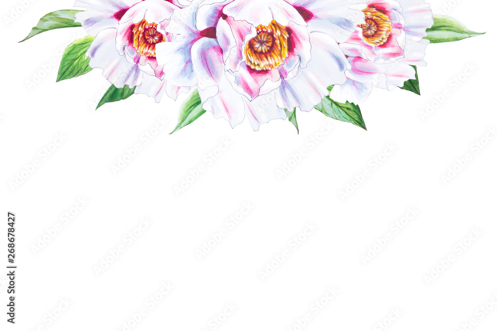 Beautiful white peony. Bouquet of flowers. Floral print. Marker drawing. Watercolor painting. Wedding and birthday composition. Greeting card. Flower painted background. Hand drawn illustration. Beautiful white peony. Bouquet of flowers. Floral print. Marker drawing. Watercolor painting. Wedding and birthday composition. Greeting card. Flower painted background. Hand drawn illustration.