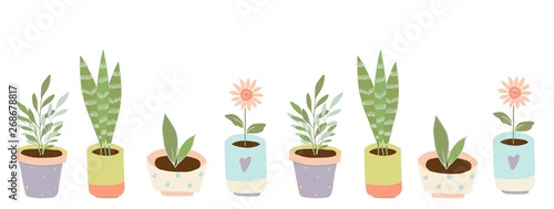 Gardening home plants in ceramic pots