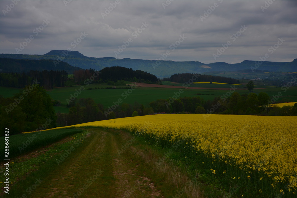 Obraz premium polna droga