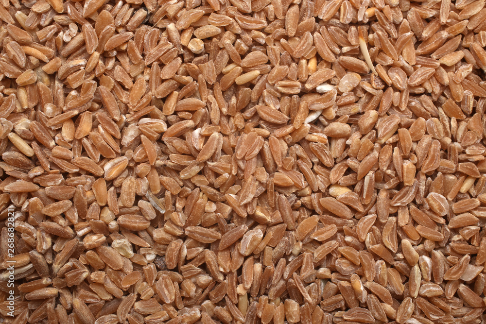 Bulgur, for backgrounds or textures Bulgur, for backgrounds or textures