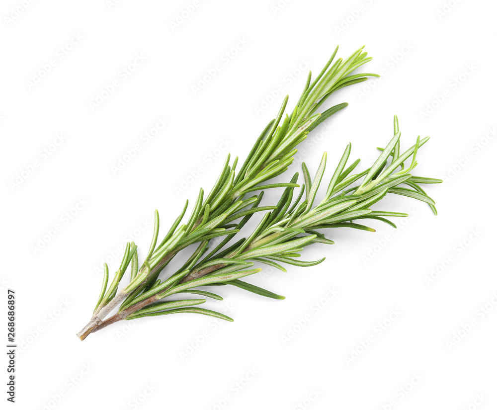 Fresh green rosemary twigs on white background, top view Fresh green rosemary twigs on white background, top view