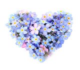 Heart made of amazing spring forget-me-not flowers on white background, top view