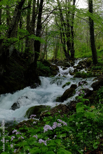 montenegro