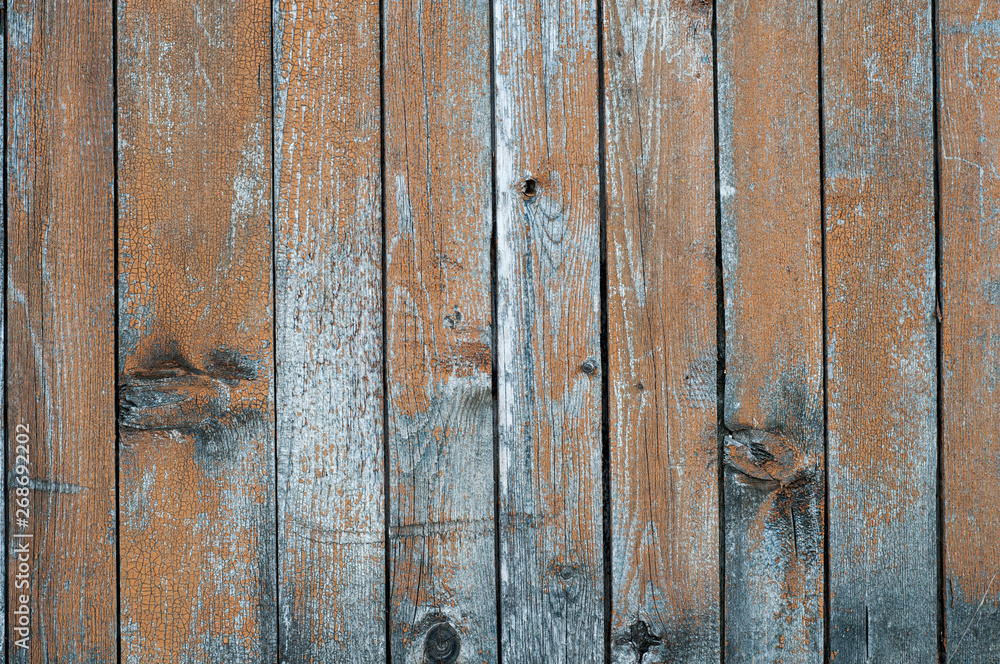 Obraz premium old wood background texture